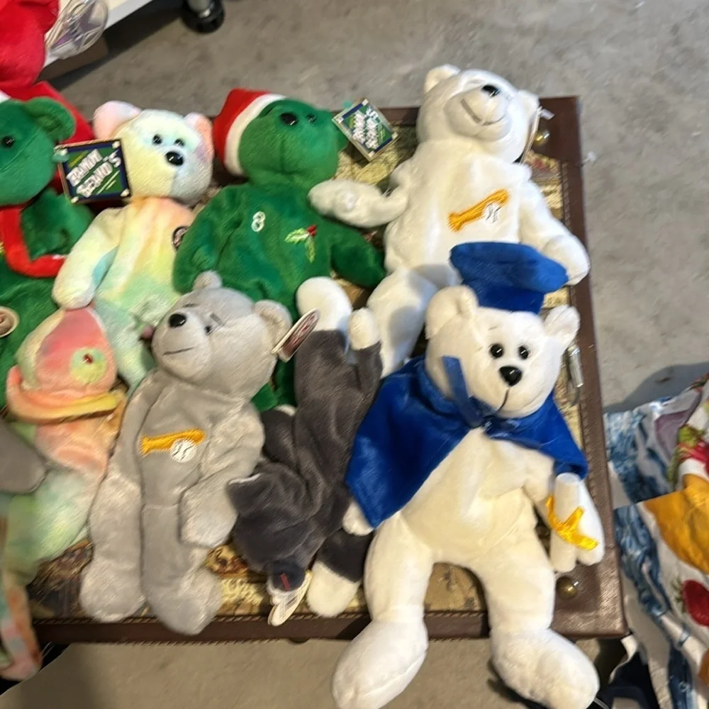 Beanie babies 13 and all